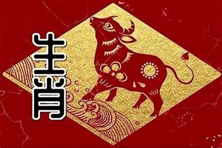 属小龙的和什么属相最配