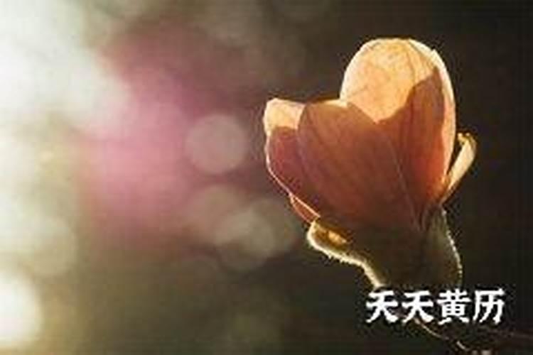 执日满日定日是什么意思