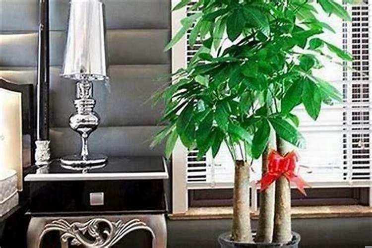 家居门口摆放什么招财