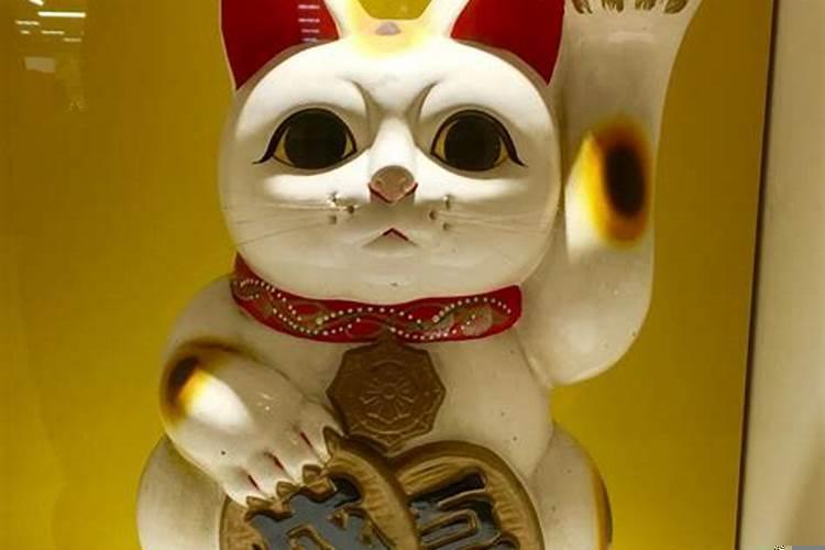 天秤座有财运吗