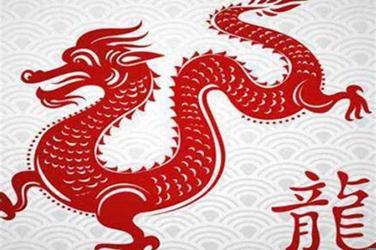 龙与兔的属相合不合