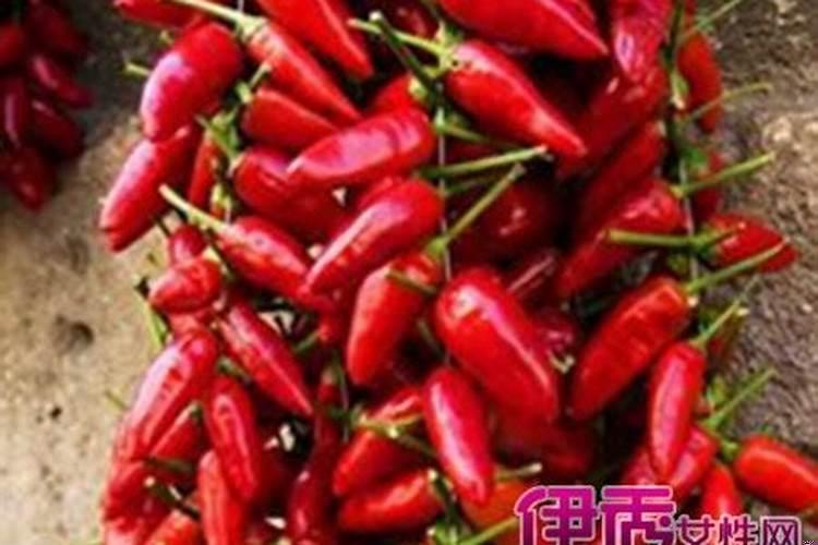 梦见好多红辣椒好不好呢