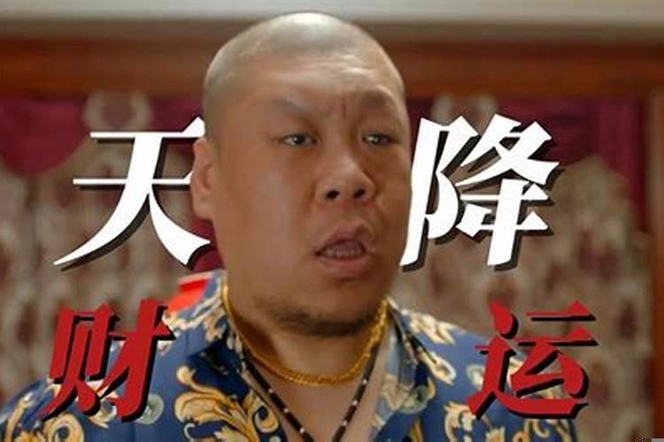 财来了挡都挡不住