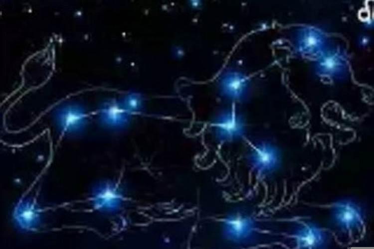 b型血狮子男的爱情观