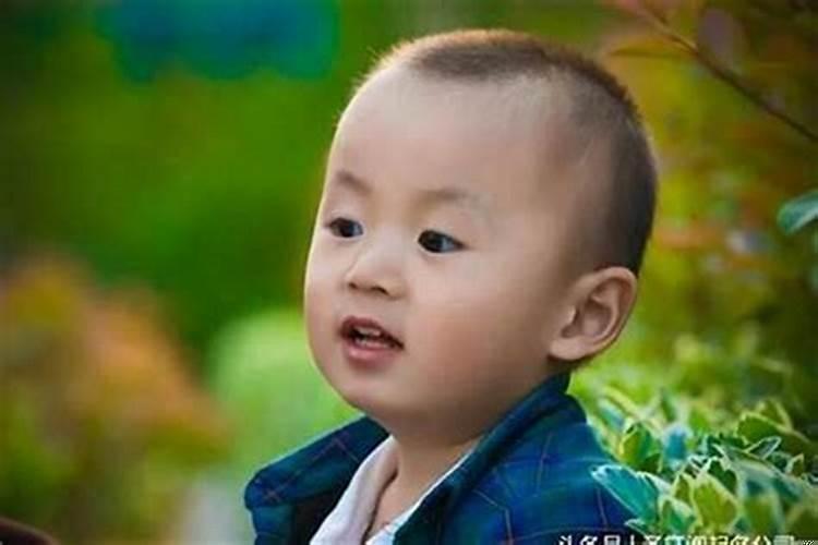 属鼠宝宝洋气的小名男孩