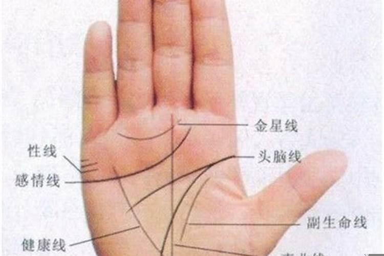姻缘线是哪一条的手掌