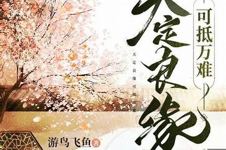 天作之合的夫妻