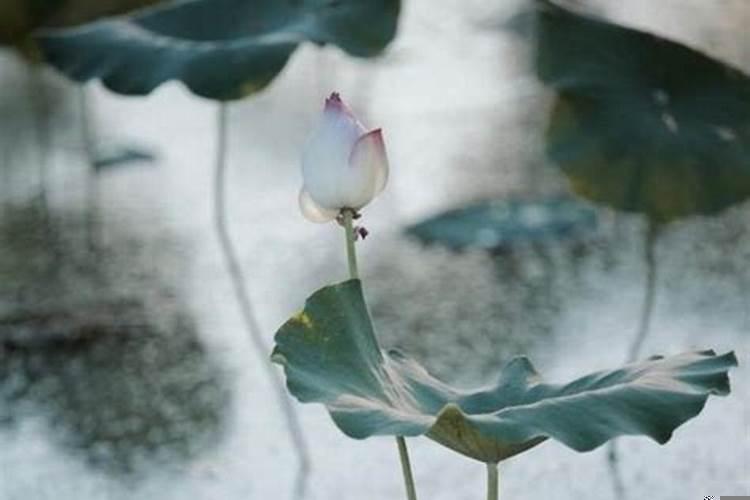 目光所及之处是什么意思