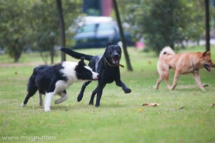 梦见跟别人结婚是怎么回事
