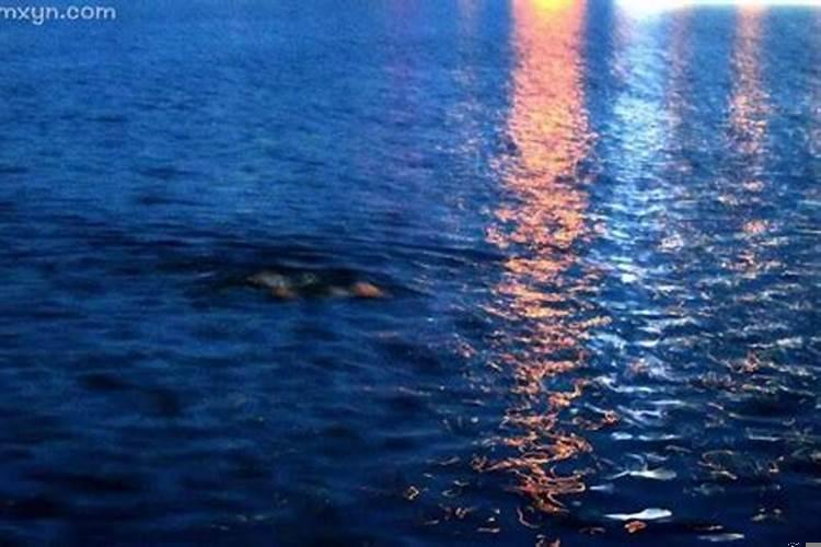 梦见死去的父亲和弟弟吵架