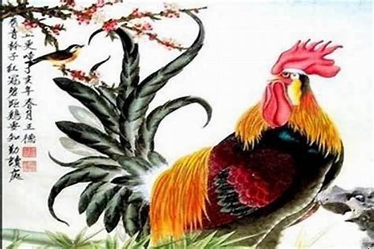 属鸡和属狗的可以结婚吗