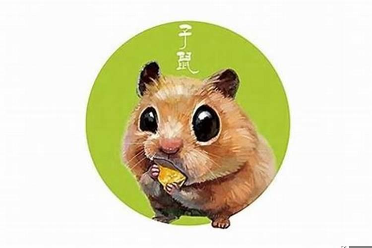 鼠会遇到的贵人