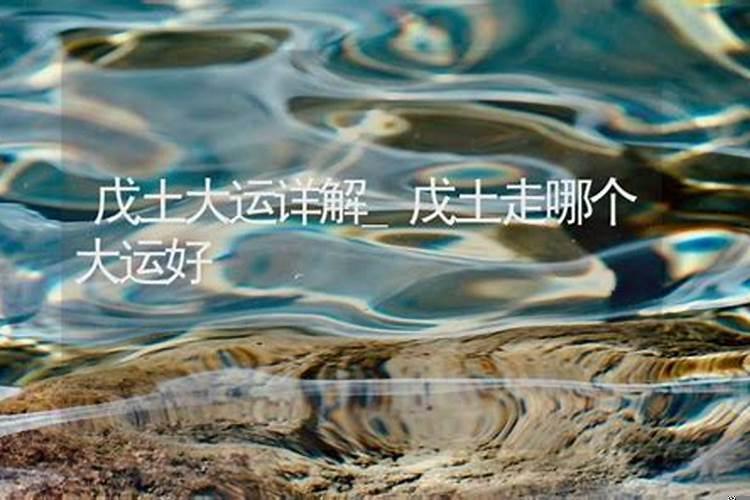 甲子丁卯癸亥己未财运