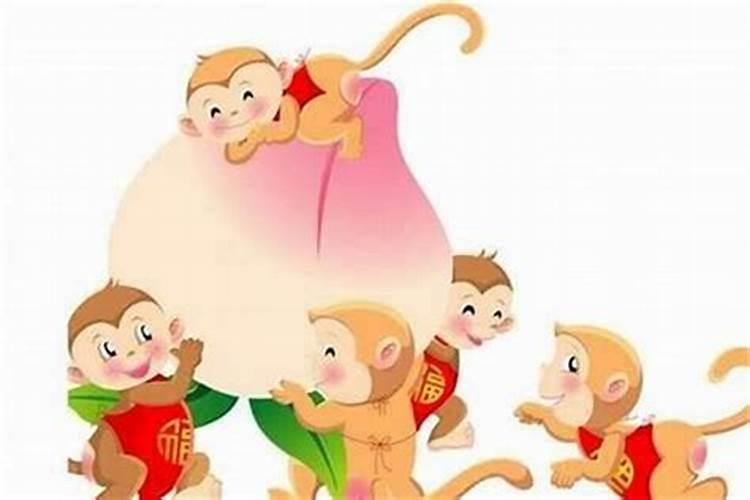 属猴的父母生什么属相的宝宝好