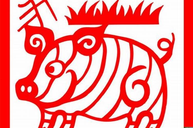 1959年属猪的命运