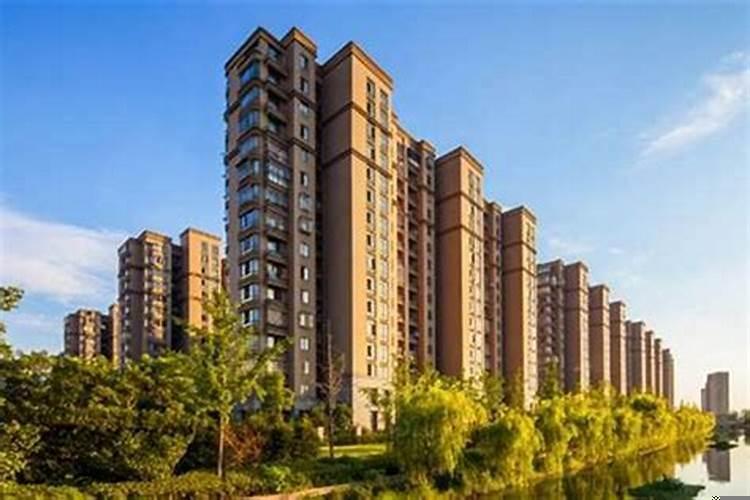 属龙和属兔的住几楼好?