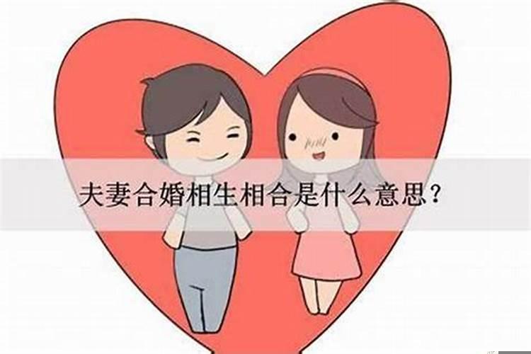 合婚一般是什么意思