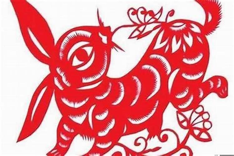 属鸡人遇兔年运势如何