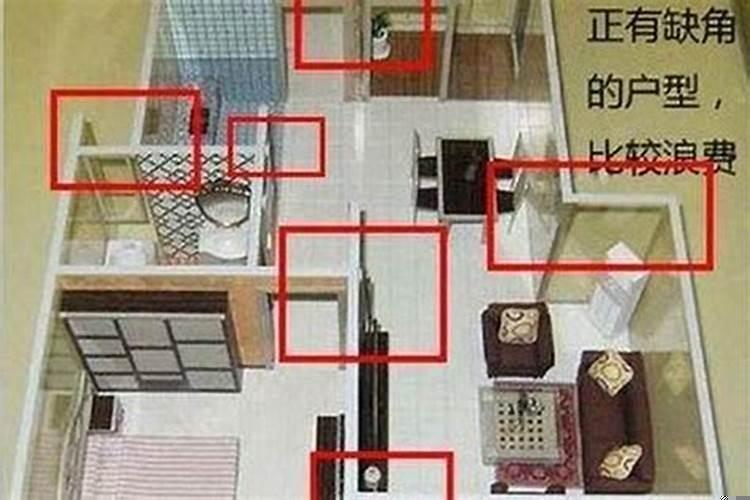 农历不宜出行是什么意思