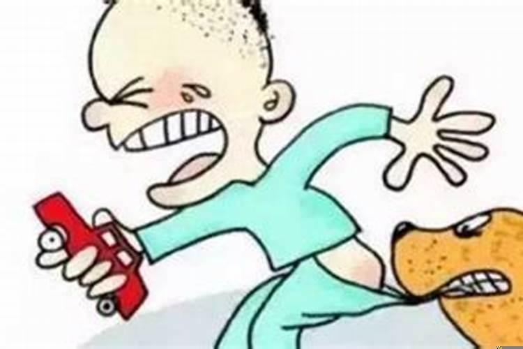 女人梦见狗咬了是什么预兆