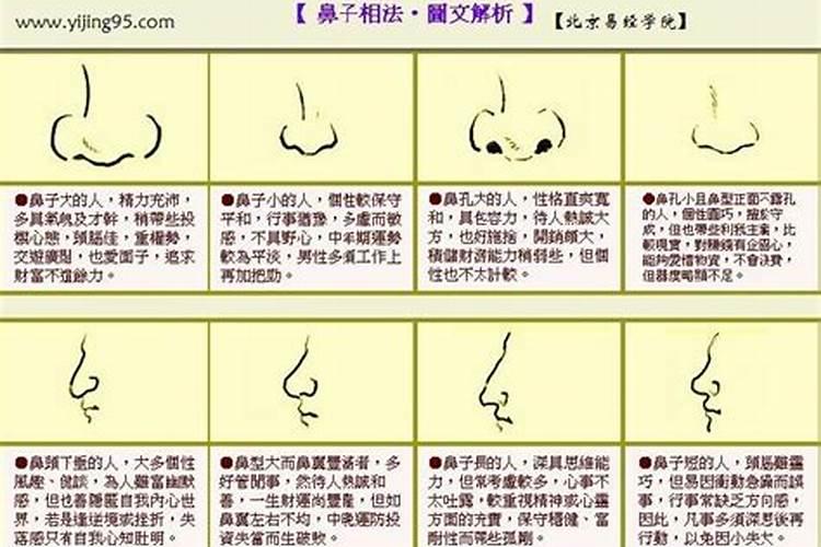 怎样看鼻子面相