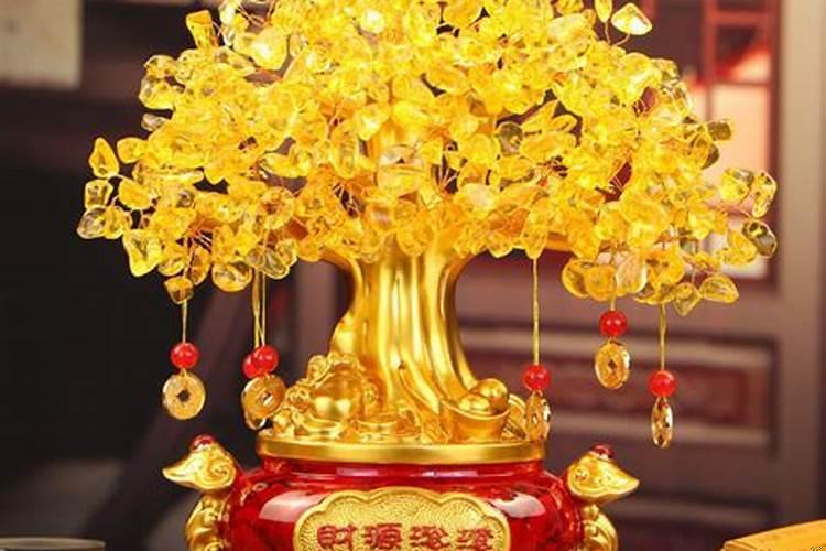 招财树摆放风水