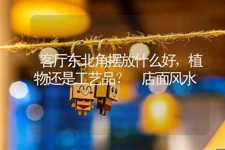 办公室门口放什么植物风水好