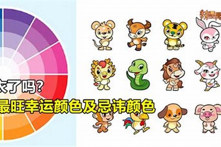 2018十二生肖幸运颜色