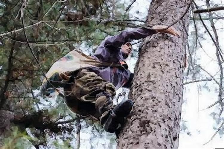 梦见坟被水淹了个洞