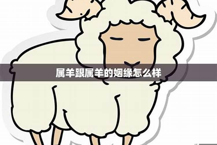 属羊跟属羊的姻缘怎么样