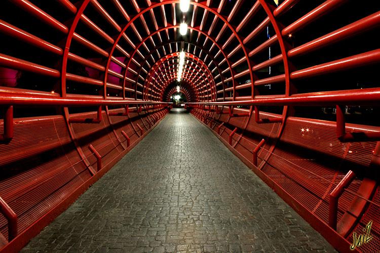 1985年属牛农历7月出生