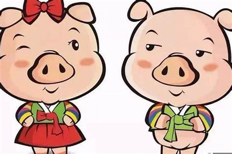 算命运或八字的软件