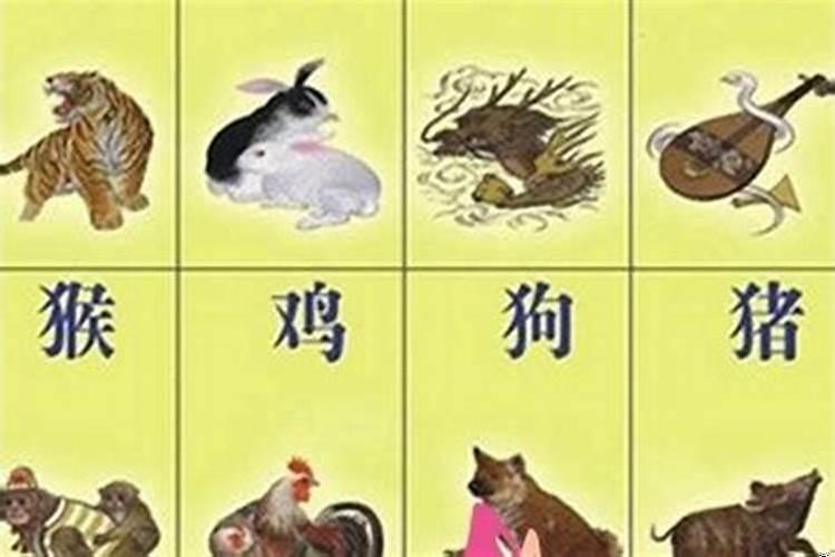 属龙和属兔的住几楼好?