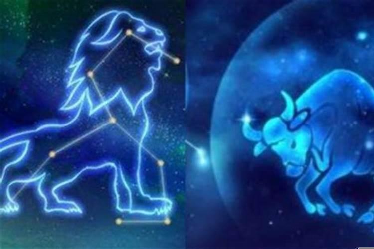 金牛座男和狮子座女在一起会怎样