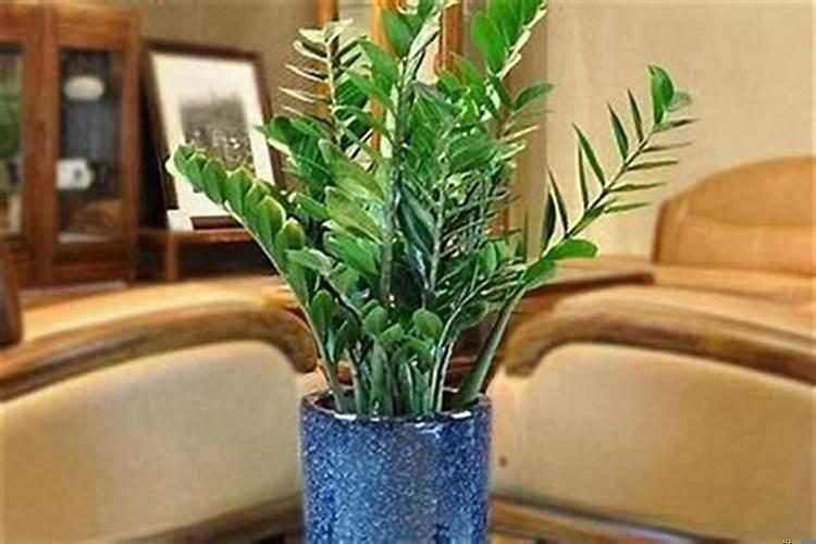 财来了挡都挡不住