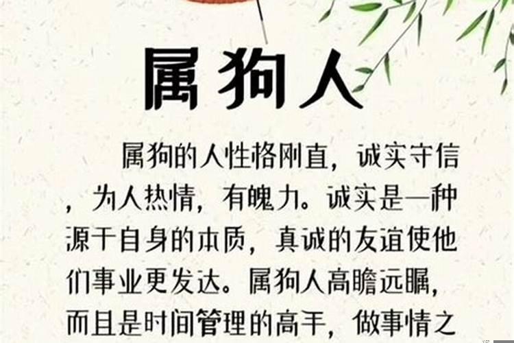 十二生肖领导能力分析