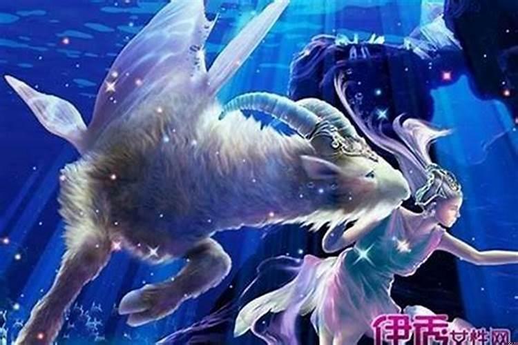 白羊座最佳配对是什么星座