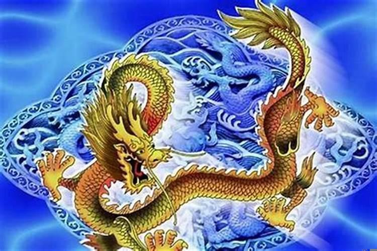 属龙和属马的生虎宝宝好不好