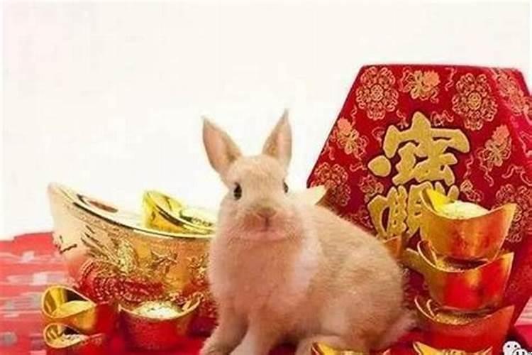 1987年属兔的财运