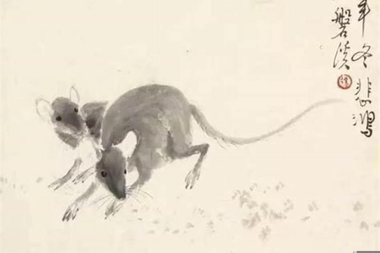 把老婆宠到天上去的生肖男