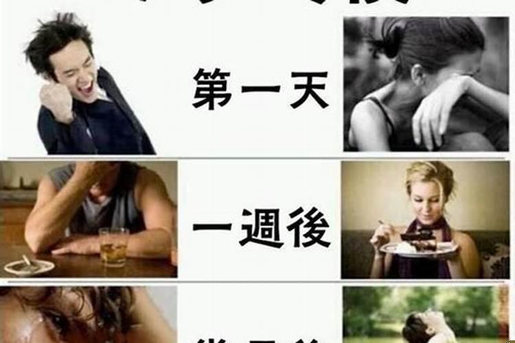 会找前女友复合的生肖男2021
