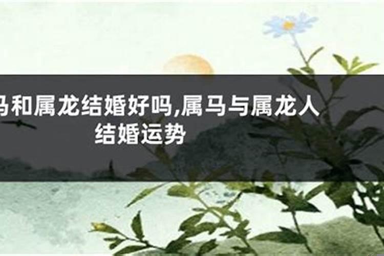 属马和属龙的婚姻合适吗