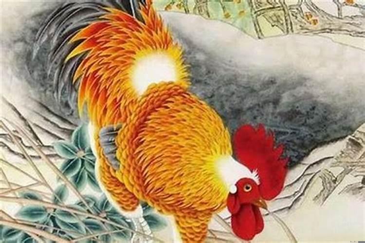 属鸡和什么相冲相害