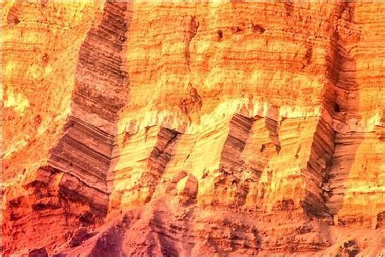 梦见两只狗追着咬我我把狗打跑了