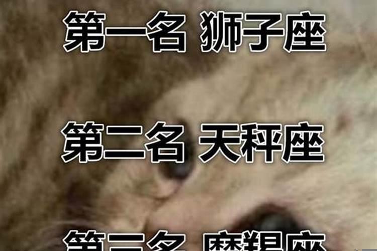 爱情里最有心机的星座女