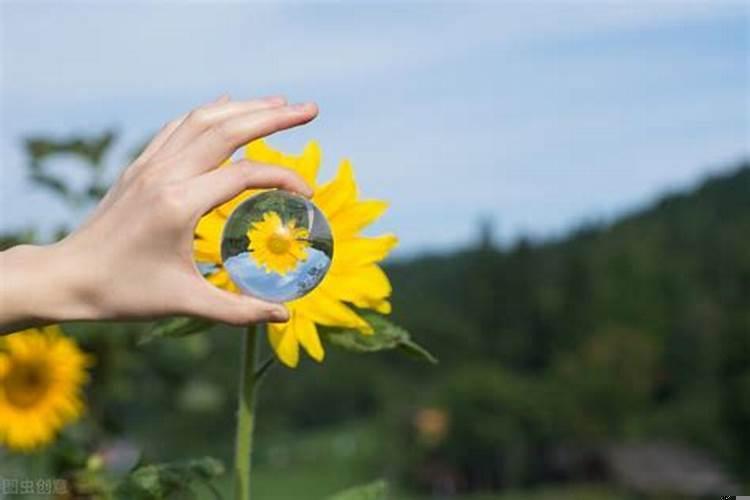 如何让孩子拥有阳光的心态