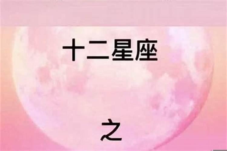 最会宠人的星座