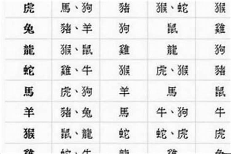 22岁婚配什么生肖好