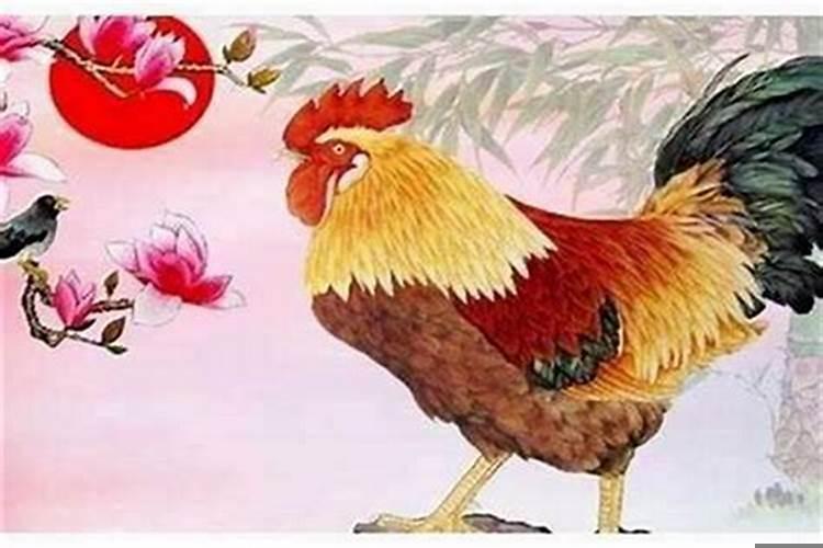 1947年属鸡的是什么命