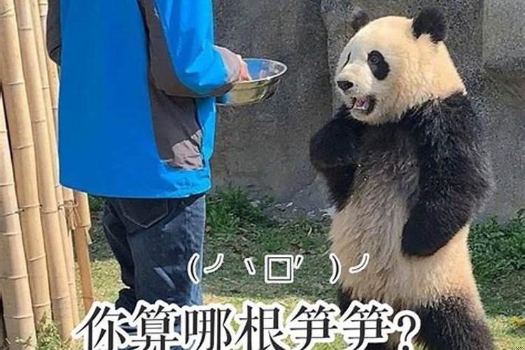 千万不要和小人翻脸